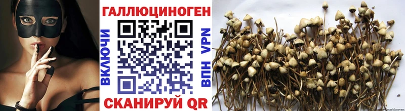 как найти закладки  Оса  Псилоцибиновые грибы Magic Shrooms 